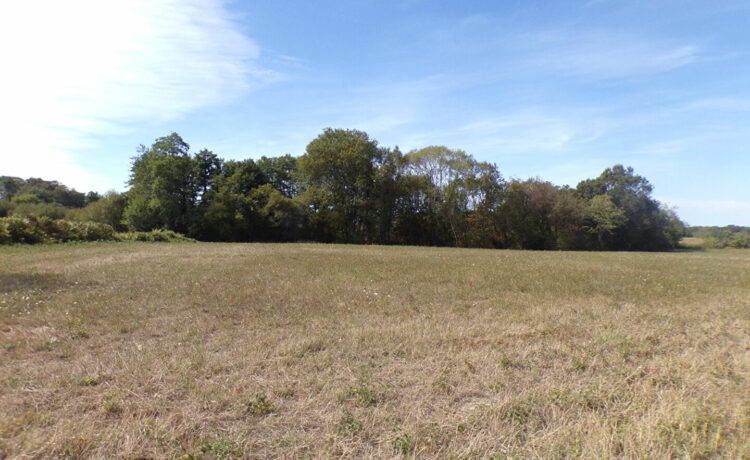 Terrain Saint Cricq Chalosse 1943 m2 1
