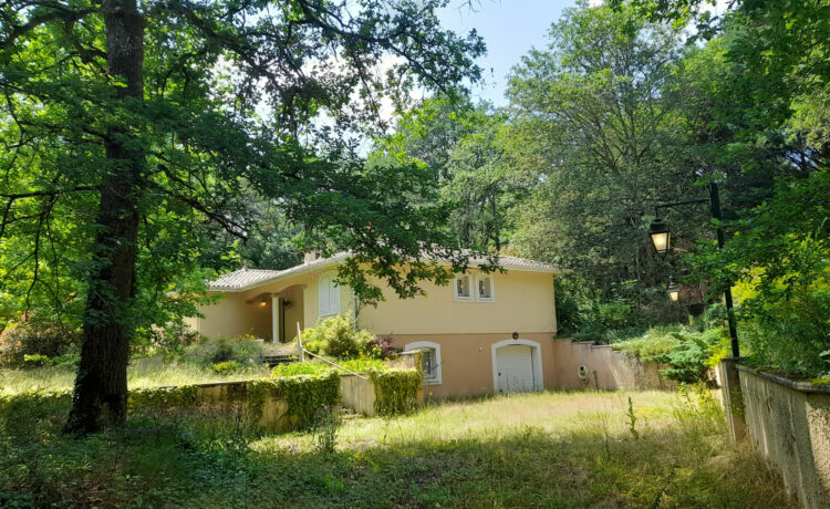 Maison contemporaine T5, 148 m2, sous sol complet, 2 ha de bois 1