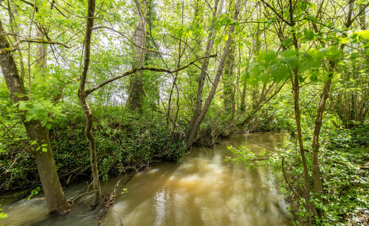 Magnifique grange rénovée, 137 m2, 4 ch, 1 hectare de terrain