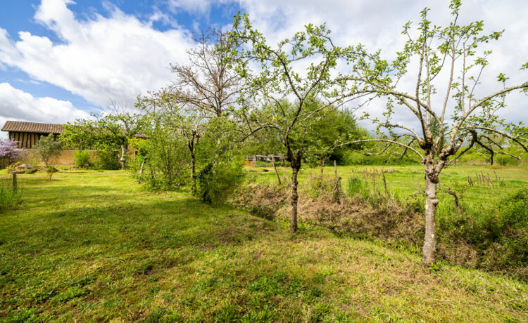 Magnifique grange rénovée, 137 m2, 4 ch, 1 hectare de terrain