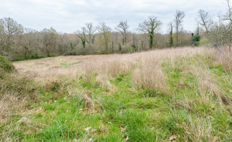 Maison 4 pièce(s) 116 m2 Grand terrain