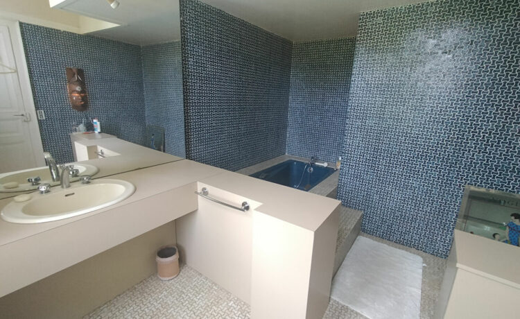 Maison de caractère 7 pièce(s) 256m²