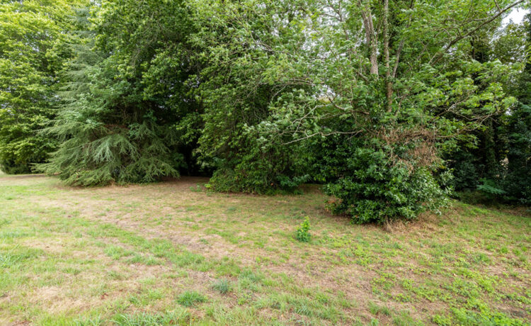 Maison Villeneuve De Marsan 10 pièce(s) 202 m2