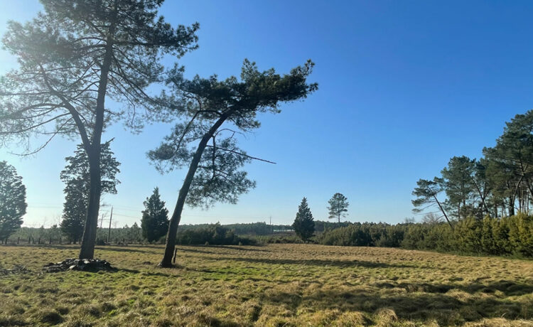 PROPRIETE AVEC PISCINE SUR LA COMMUNE D'ESCOURCE