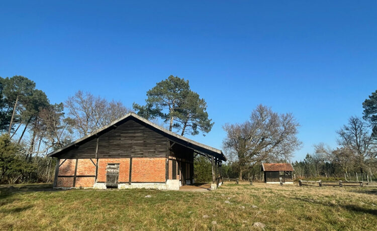 PROPRIETE AVEC PISCINE SUR LA COMMUNE D'ESCOURCE